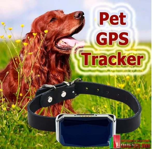 GPS ошейник для животных PET TRACKER G12P